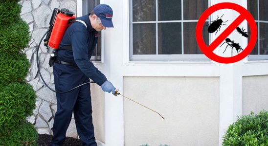 Çifteler Tahtakurusu İlaçlama böcek ilaçlama ve haşere kontrolü — ilaclama-tr.com